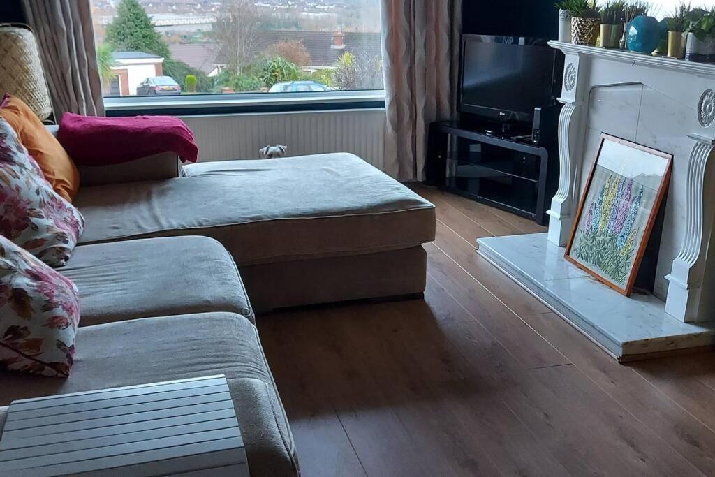 Bellevue Bungalow - Comfortable Home With Amazing Views ベルファスト エクステリア 写真